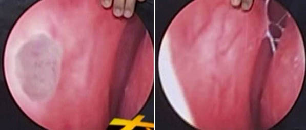 �Ϲ�NG��28(�й���)����Ʒ���������޹�˾