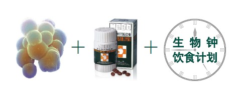 �Ϲ�NG��28(�й���)����Ʒ���������޹�˾