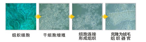 �Ϲ�NG��28(�й���)����Ʒ���������޹�˾