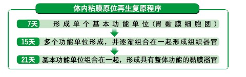 �Ϲ�NG��28(�й���)����Ʒ���������޹�˾