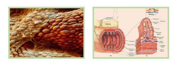 �Ϲ�NG��28(�й���)����Ʒ���������޹�˾