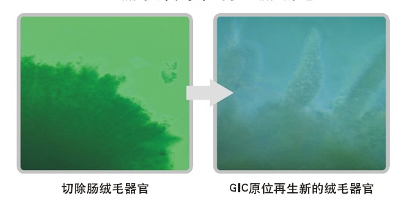 �Ϲ�NG��28(�й���)����Ʒ���������޹�˾