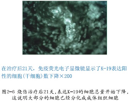 �Ϲ�NG��28(�й���)����Ʒ���������޹�˾