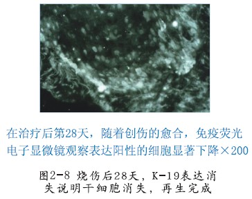 �Ϲ�NG��28(�й���)����Ʒ���������޹�˾