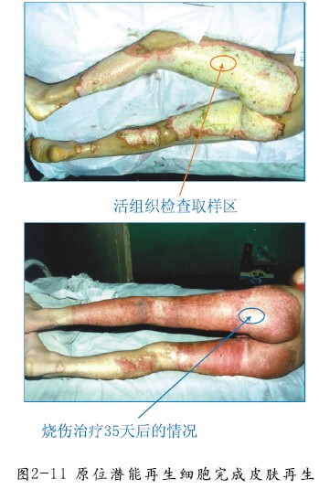 �Ϲ�NG��28(�й���)����Ʒ���������޹�˾