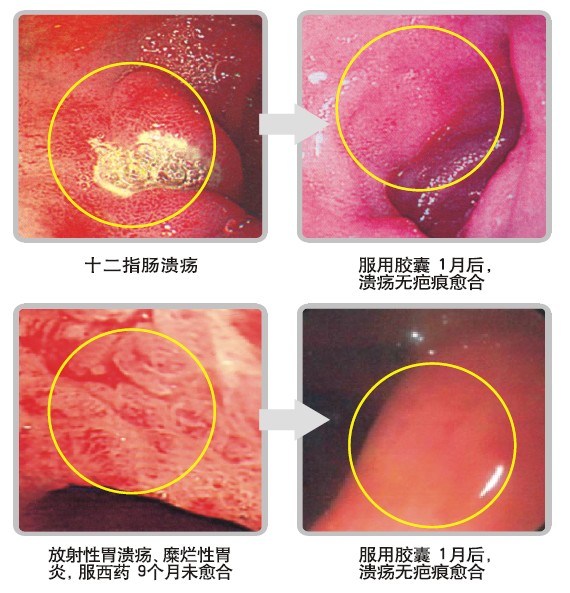 �Ϲ�NG��28(�й���)����Ʒ���������޹�˾