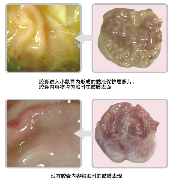 �Ϲ�NG��28(�й���)����Ʒ���������޹�˾