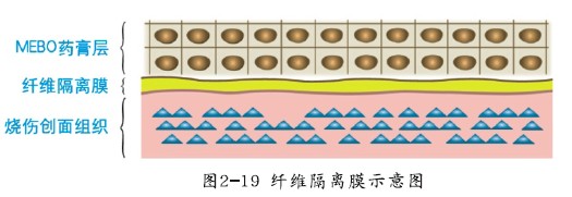 �Ϲ�NG��28(�й���)����Ʒ���������޹�˾