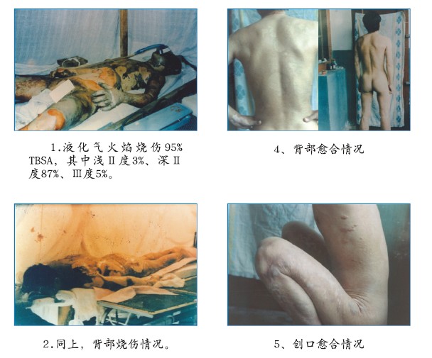 �Ϲ�NG��28(�й���)����Ʒ���������޹�˾