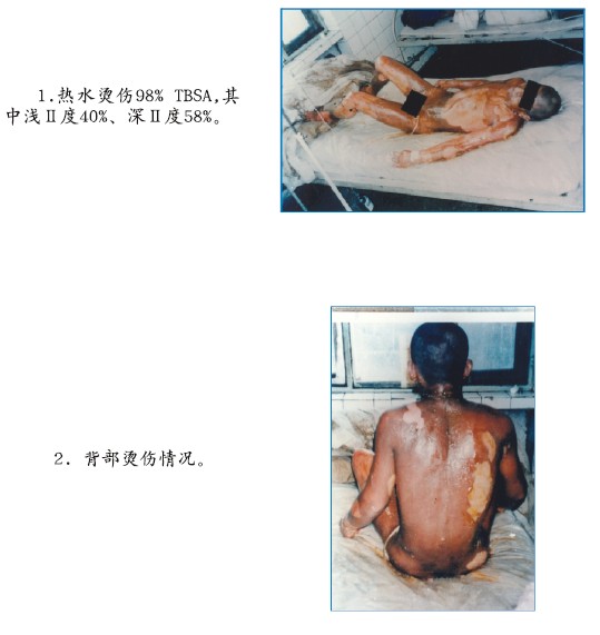 �Ϲ�NG��28(�й���)����Ʒ���������޹�˾