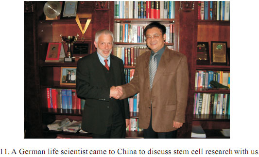 �Ϲ�NG��28(�й���)����Ʒ���������޹�˾