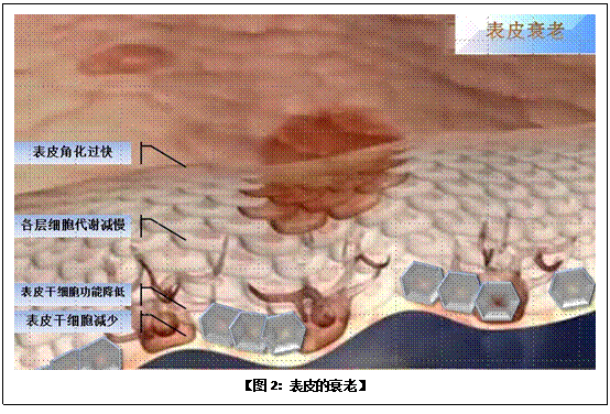 �Ϲ�NG��28(�й���)����Ʒ���������޹�˾