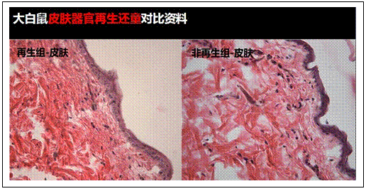 �Ϲ�NG��28(�й���)����Ʒ���������޹�˾