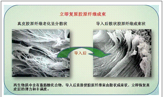 �Ϲ�NG��28(�й���)����Ʒ���������޹�˾