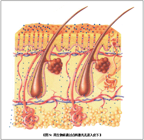 �Ϲ�NG��28(�й���)����Ʒ���������޹�˾