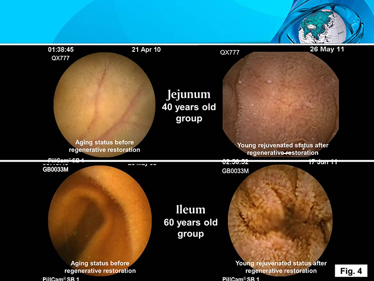 �Ϲ�NG��28(�й���)����Ʒ���������޹�˾