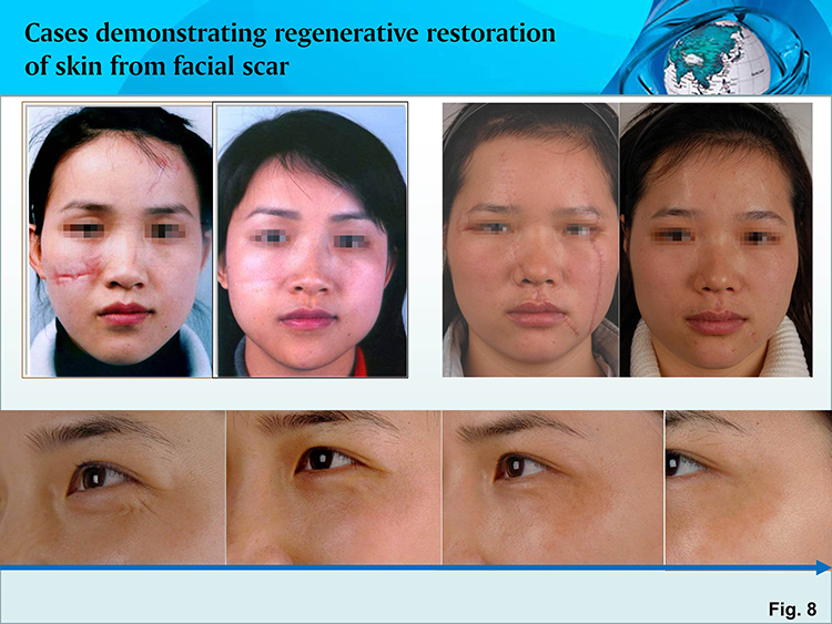 �Ϲ�NG��28(�й���)����Ʒ���������޹�˾