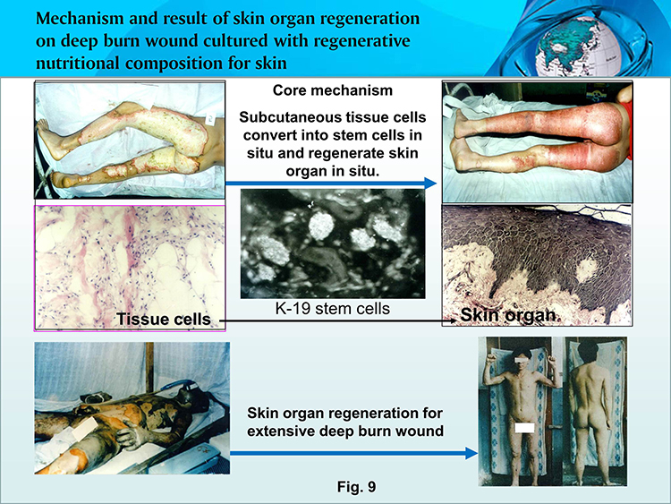 �Ϲ�NG��28(�й���)����Ʒ���������޹�˾