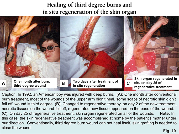 �Ϲ�NG��28(�й���)����Ʒ���������޹�˾