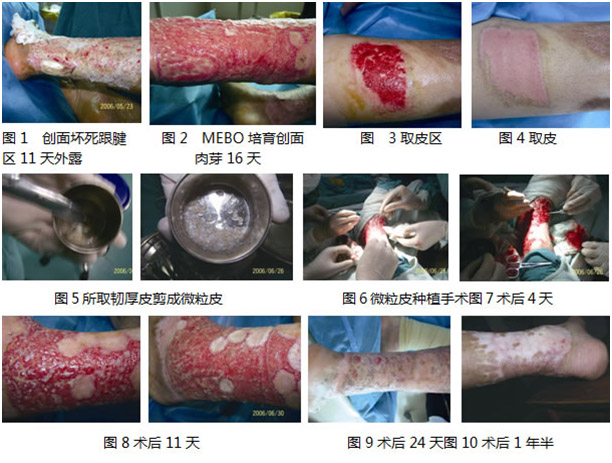 �Ϲ�NG��28(�й���)����Ʒ���������޹�˾