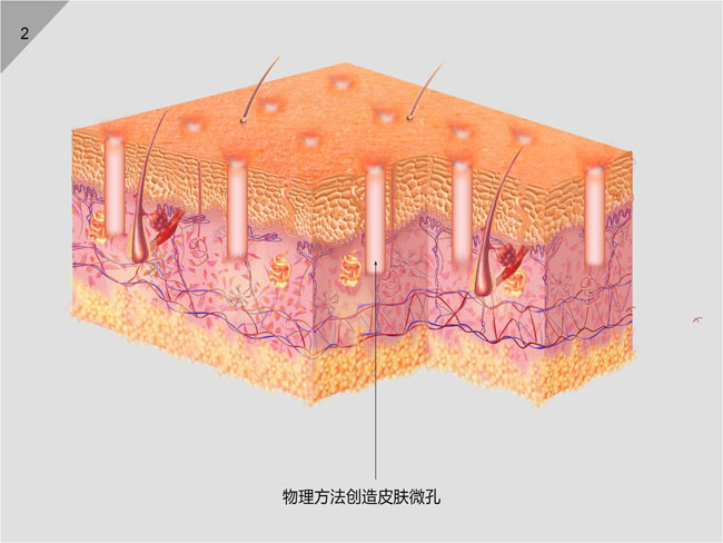 �Ϲ�NG��28(�й���)����Ʒ���������޹�˾