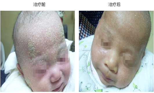 �Ϲ�NG��28(�й���)����Ʒ���������޹�˾