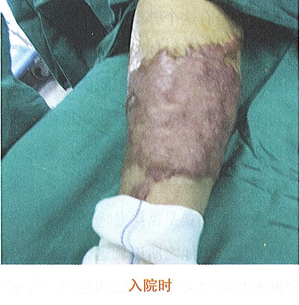 �Ϲ�NG��28(�й���)����Ʒ���������޹�˾