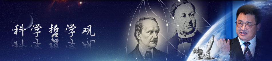 �Ϲ�NG��28(�й���)����Ʒ���������޹�˾